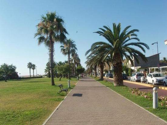 Apartmán La Conchiglia Porto SantʼElpidio Exteriér fotografie