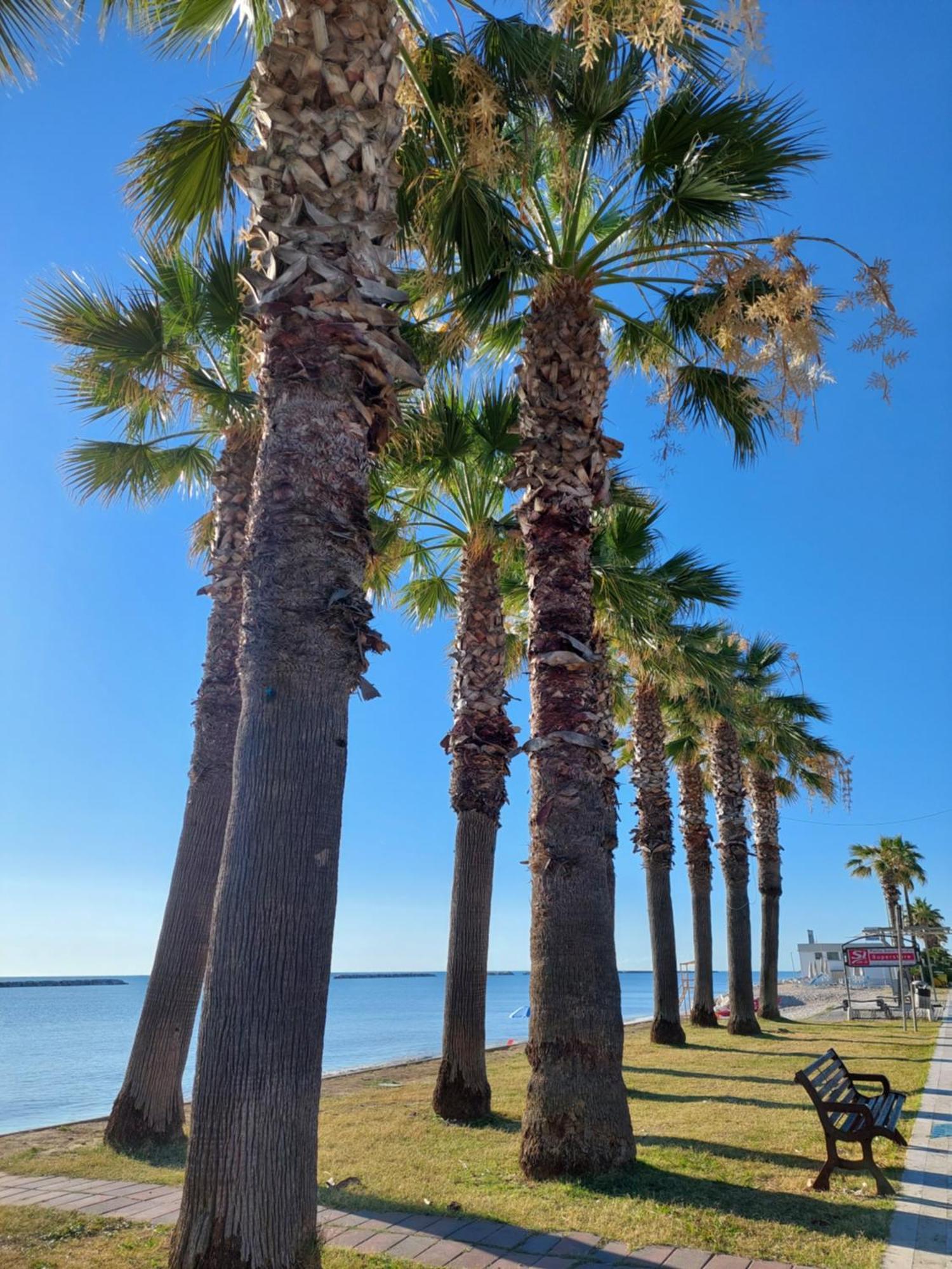Apartmán La Conchiglia Porto SantʼElpidio Exteriér fotografie